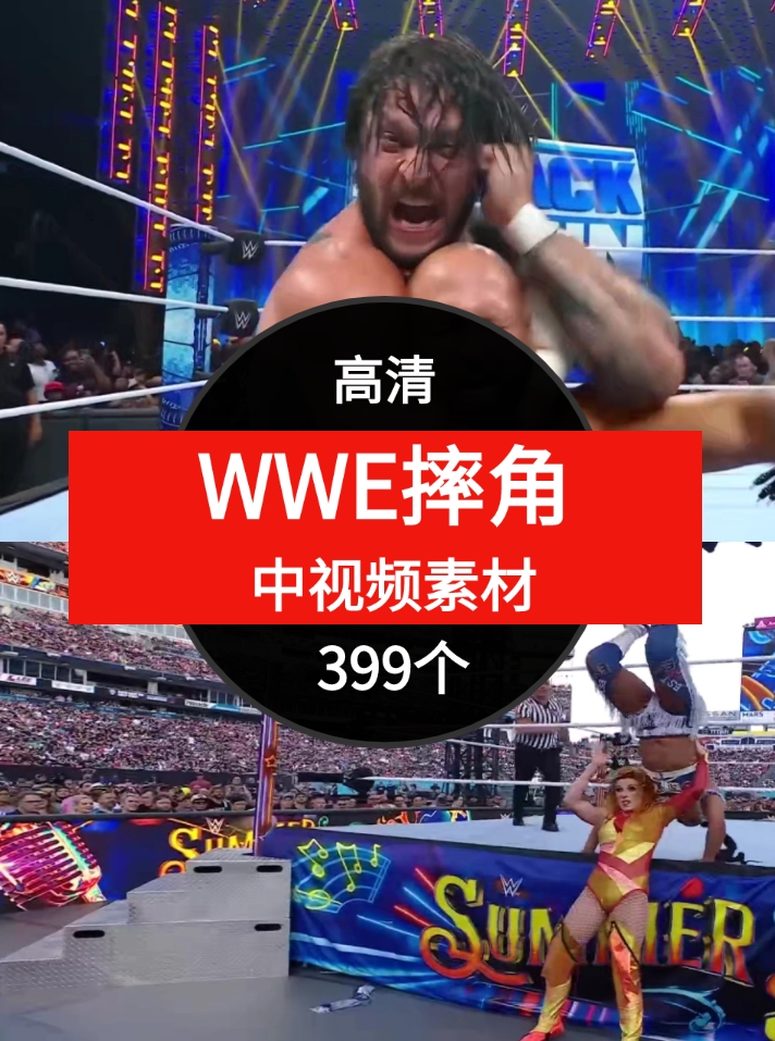 M214-WWE摔角视频-云际资源网