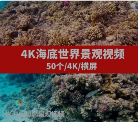 4K海底世界景观视频-云际资源网