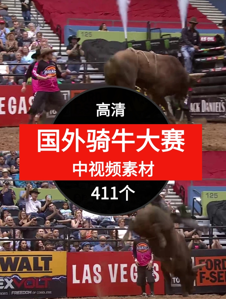 国外骑牛大赛视频素材中视频视频素材-411个-云际资源网
