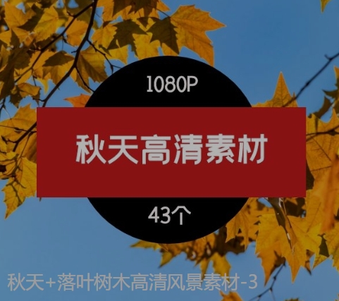 秋天+落叶树木高清风景素材-3-云际资源网