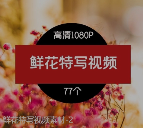 鲜花特写视频素材-2-云际资源网