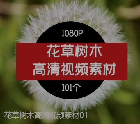 花草树木高清视频素材01-云际资源网