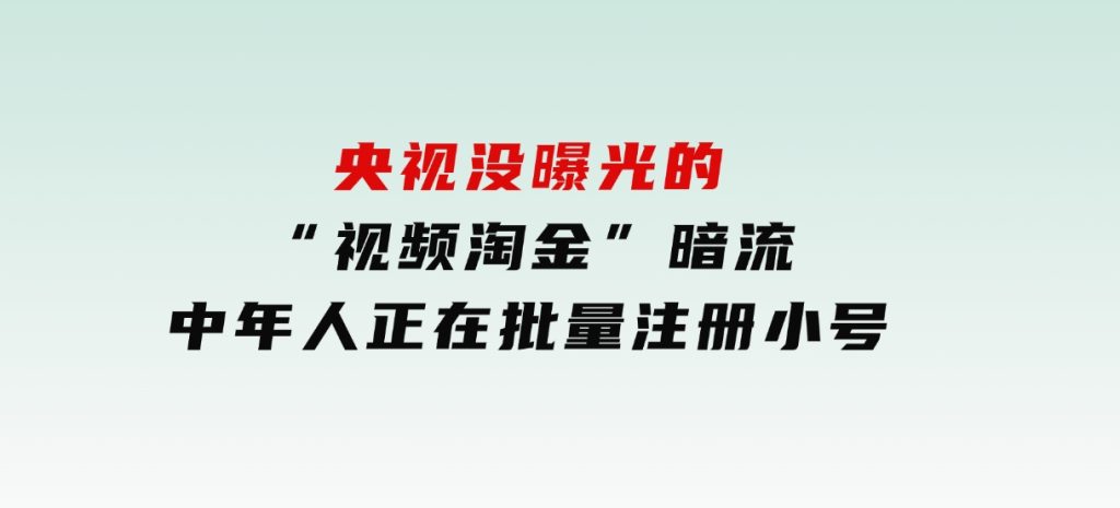 央视没曝光的“视频淘金”暗流：中年人正在批量注册小号-云际资源网