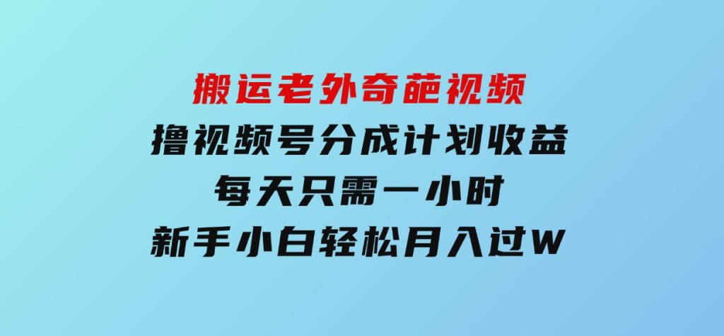 搬运老外奇葩视频，撸视频号分成计划收益，每天只需一小时，新手小白轻松月入过W-云际资源网