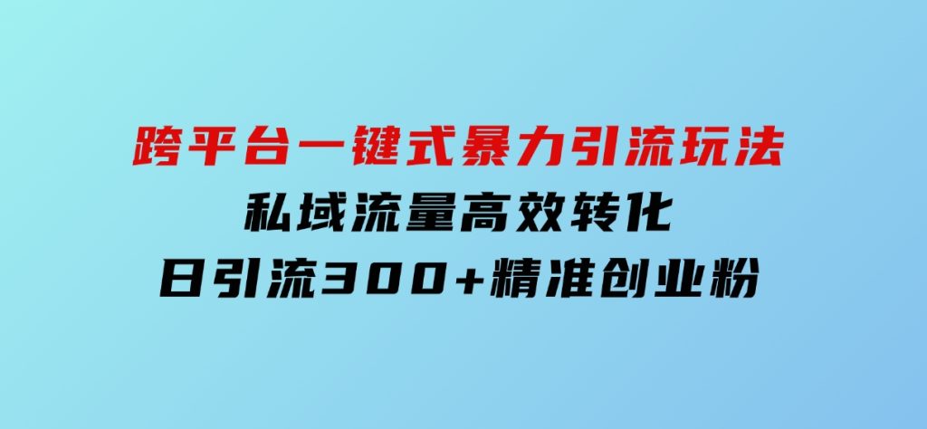 跨平台一键式暴力引流玩法，私域流量高效转化日引流300+精准创业粉-云际资源网