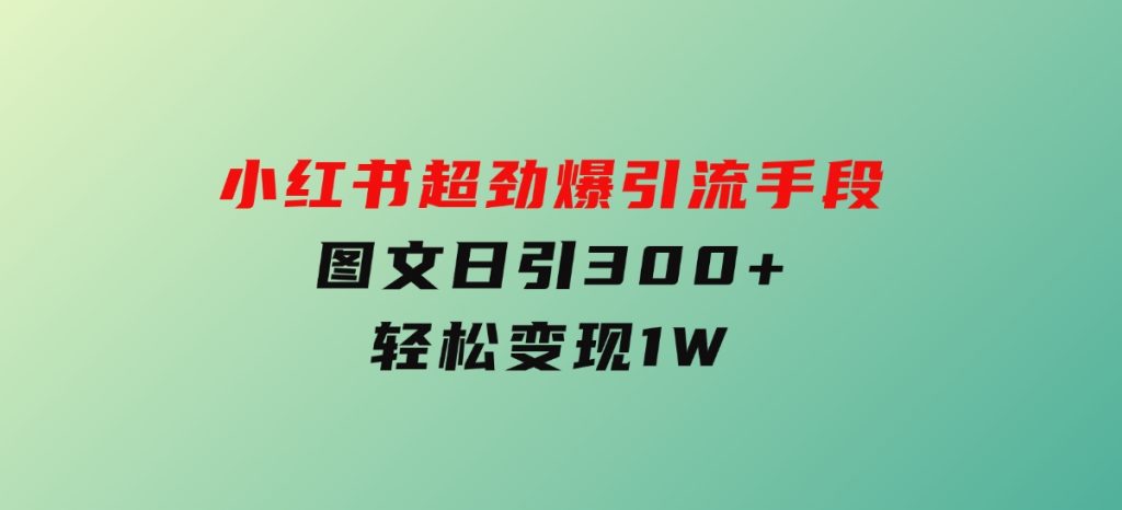 小红书超劲爆引流手段，图文日引300+轻松变现1W-云际资源网