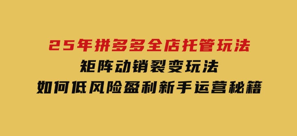 25年拼多多全店托管玩法，矩阵动销裂变玩法如何低风险盈利新手运营秘籍-云际资源网