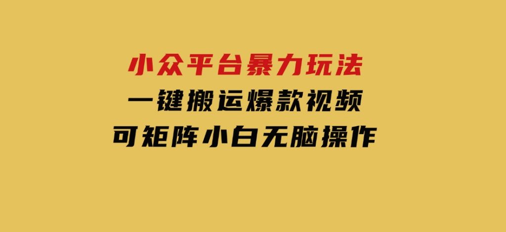 小众平台暴力玩法，一键搬运爆款视频，可矩阵小白无脑操作-云际资源网