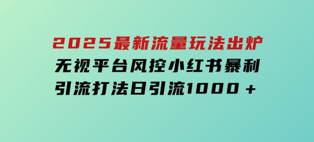 2025最新流量玩法出炉，无视平台风控，小红书暴利引流打法，日引流1000＋-云际资源网