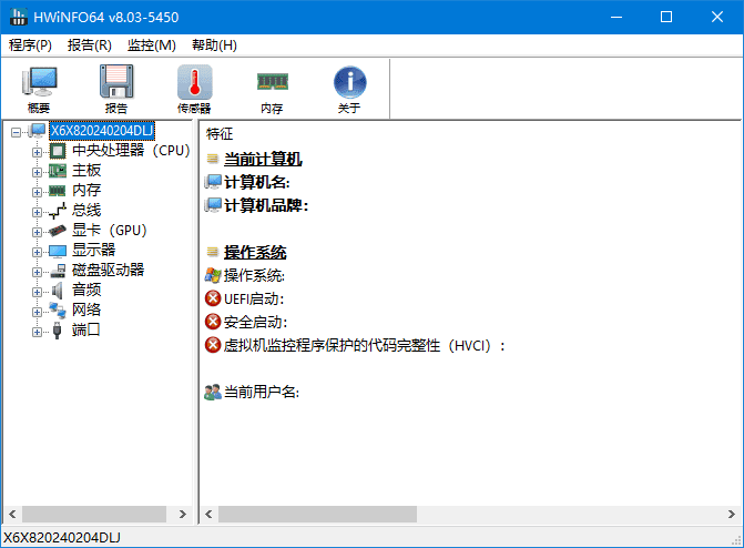HWiNFO(专业系统信息检测工具)v8.21.5645中文绿色版-云际资源网