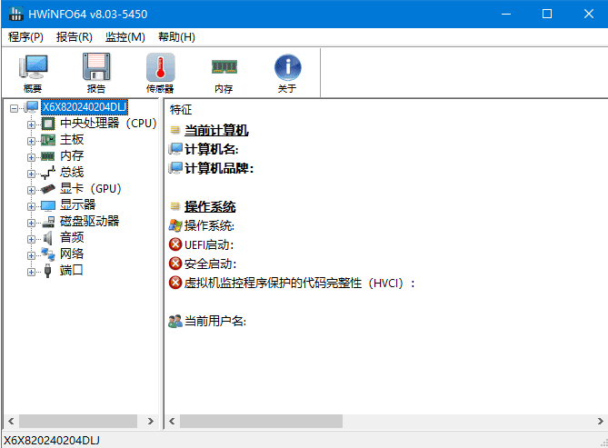 HWiNFO(专业系统信息检测工具)v8.12.5555中文绿色版-云际资源网
