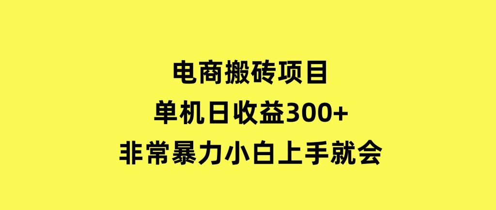 电商搬砖项目，单机日收益300+，非常暴力，小白上手就会-云际资源网