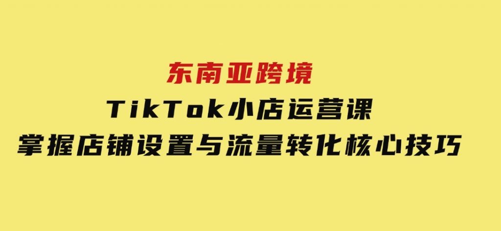 东南亚跨境TikTok小店运营课，掌握店铺设置与流量转化核心技巧-云际资源网