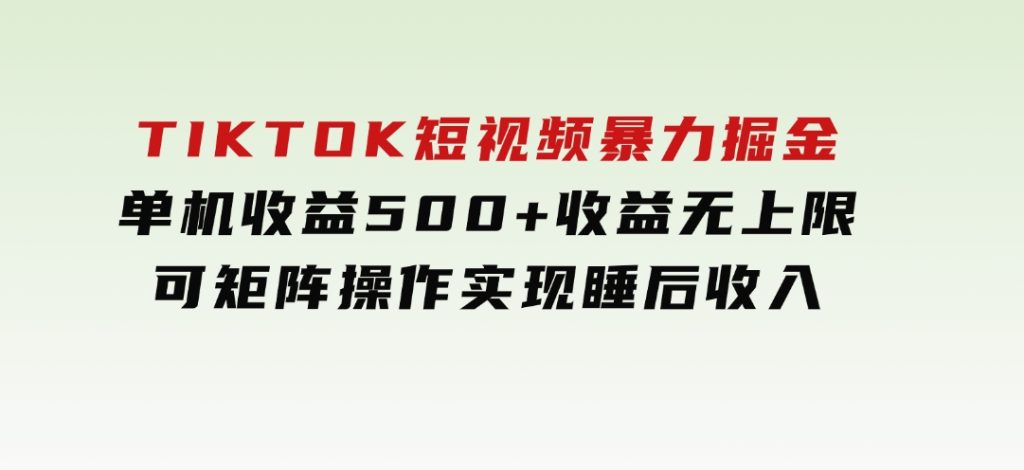 TIKTOK短视频暴力掘金单机收益500+收益无上限可矩阵操作实现睡后收入-云际资源网