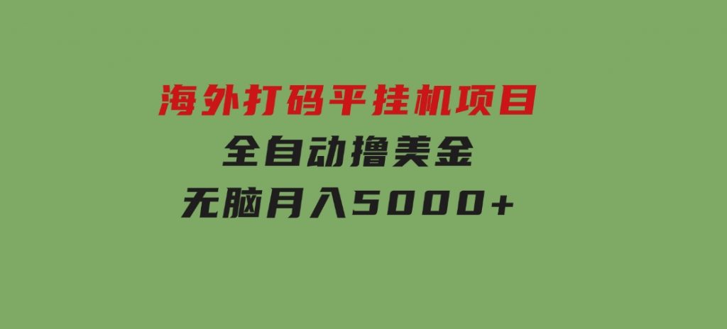 海外打码平挂机项目，全自动撸美金，无脑月入5000+-云际资源网