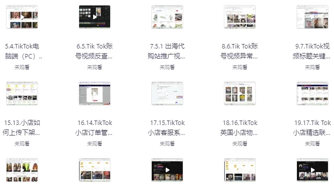 TikTok跨境短视频零基础到精通网赚变现课-云际资源网