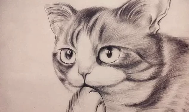 素描零基础直达四级课程-云际资源网