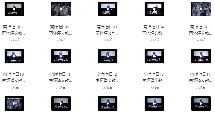 南禅七日（视频讲座+音频+文档21集）-云际资源网