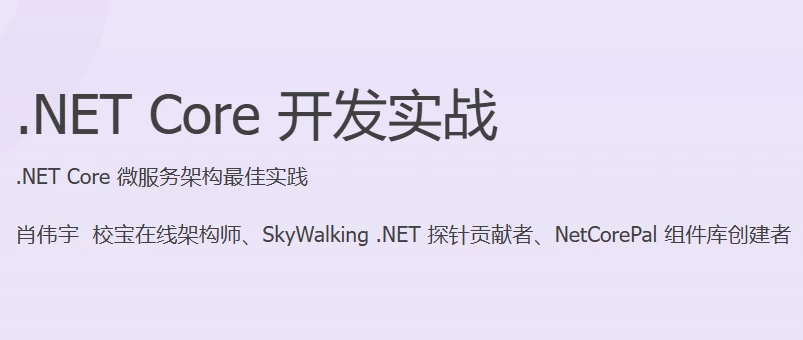 NETCore开发实战-云际资源网