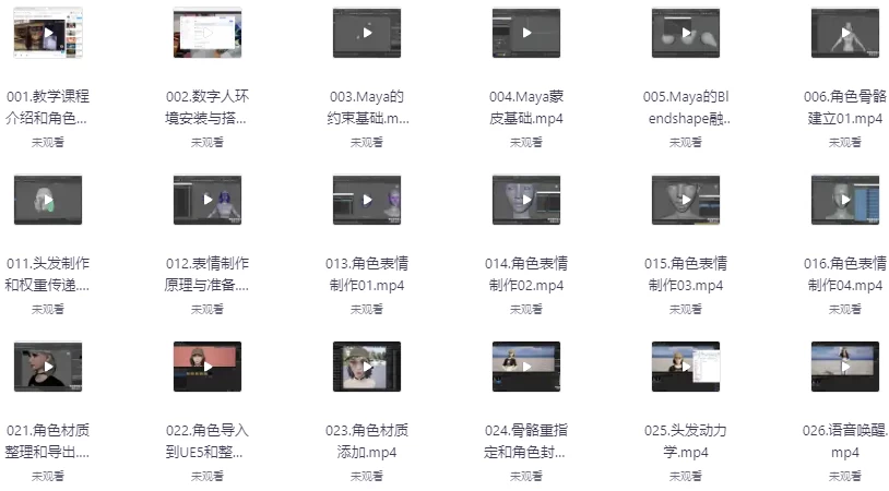 AI虚拟数字人智能体-UE5实时语音交互2025–带素材-云际资源网