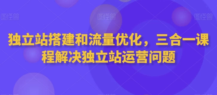 独立站搭建和流量优化三合一课程-云际资源网