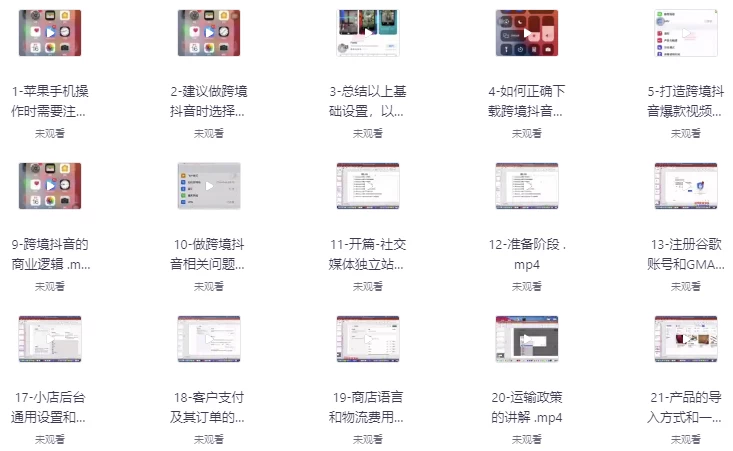 TikTok+独立站0基础入门到精通，跨境电商独立站新手必学课-云际资源网