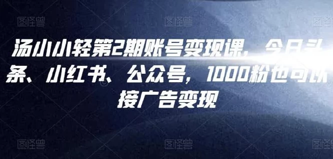汤小小账号变现课第2期-云际资源网