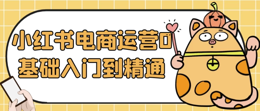 小红书电商运营0基础入门到精通-云际资源网