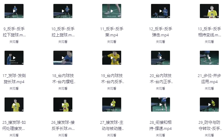 （全世爆）乒乓专业乒乓球教学课-云际资源网