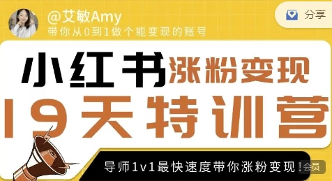 艾敏19天小红书涨粉变现特训营-云际资源网
